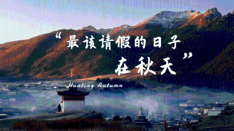 蓝狐视频